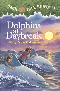 Dolphins at Daybreak