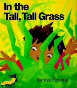 in-the-tall-tall-grass