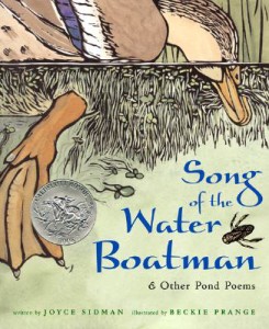 Song of the Water Boatman by Joyce Sidman, illustrated by Beckie Prange